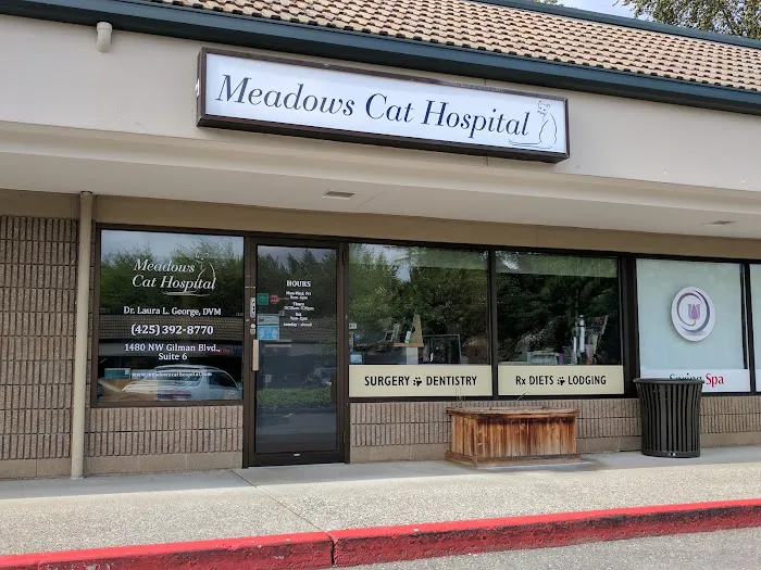 Meadows Cat Hospital Picture 8