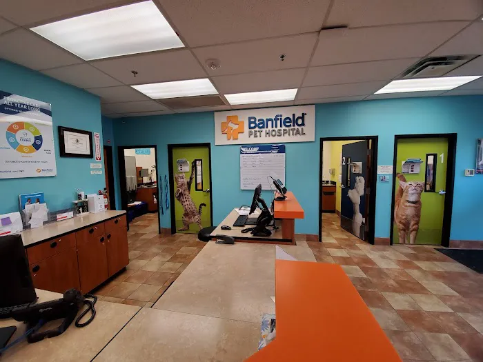 Banfield Pet Hospital Picture 5