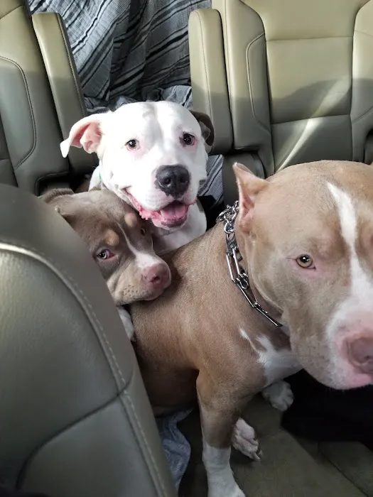 Alpine Animal Hospital Picture 10