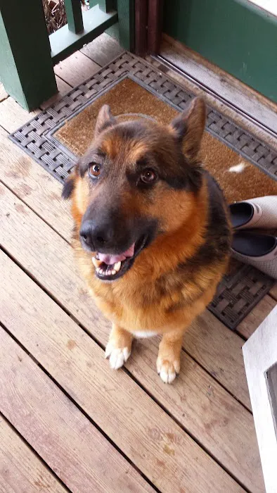 Alpine Animal Hospital Picture 5