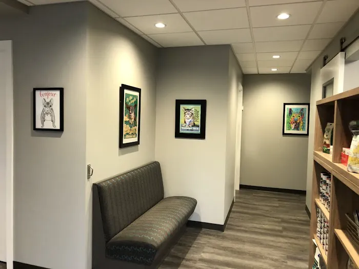 Cobblestone Animal Hospital Picture 5