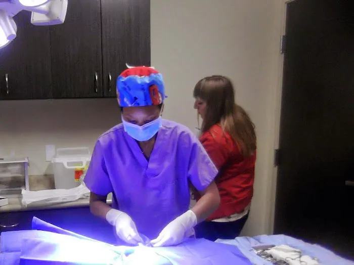 Annotto Bay Veterinary Clinic Picture 3