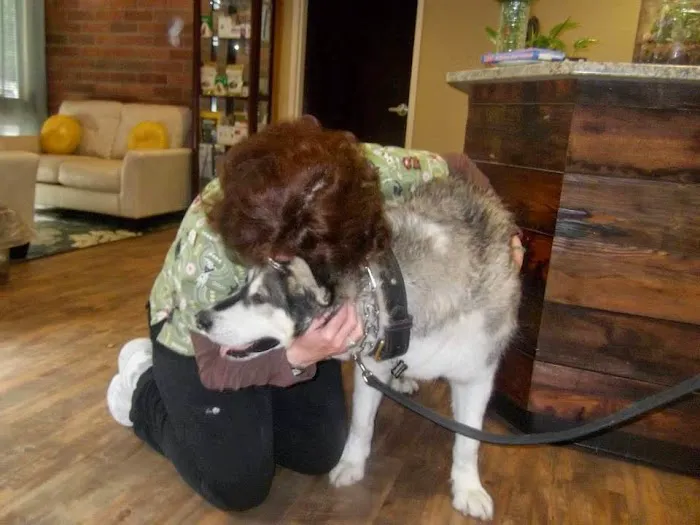 Annotto Bay Veterinary Clinic Picture 5