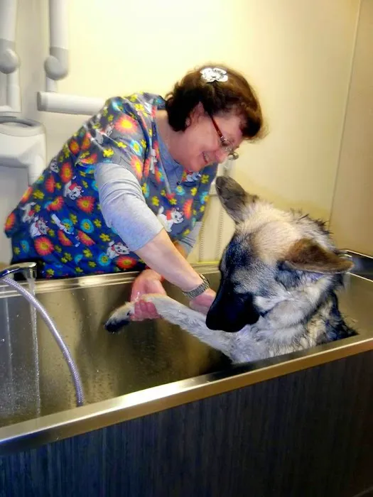 Annotto Bay Veterinary Clinic Picture 2