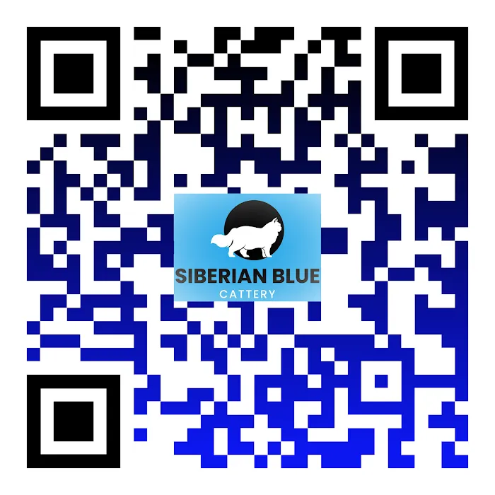 Siberian Blue Cattery Picture 10
