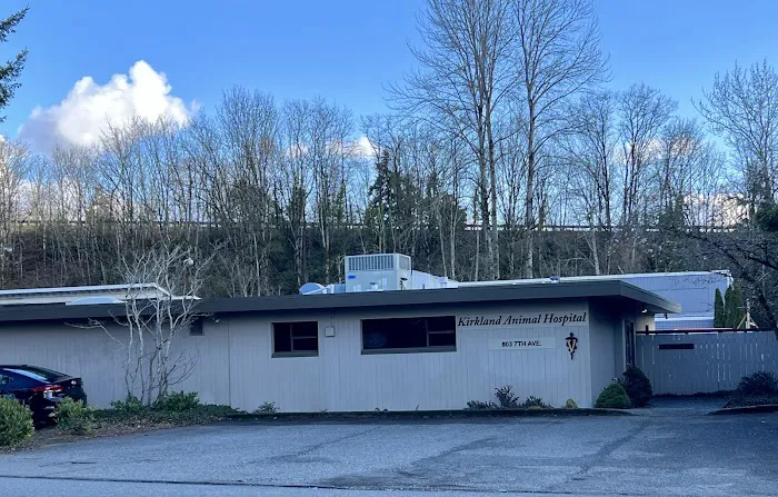 Kirkland Animal Hospital Picture 2