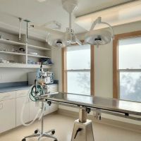 Eastside Veterinary Associates - Kirkland ico