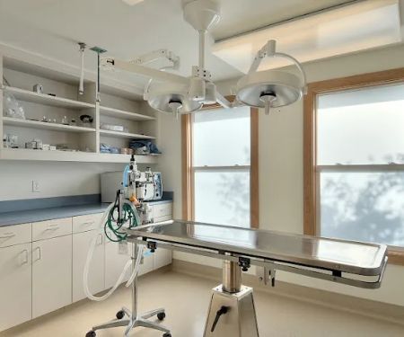 Eastside Veterinary Associates - Kirkland