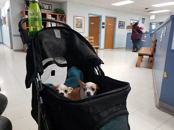 My Pet's Veterinary Urgent Care and Wellness Picture 7