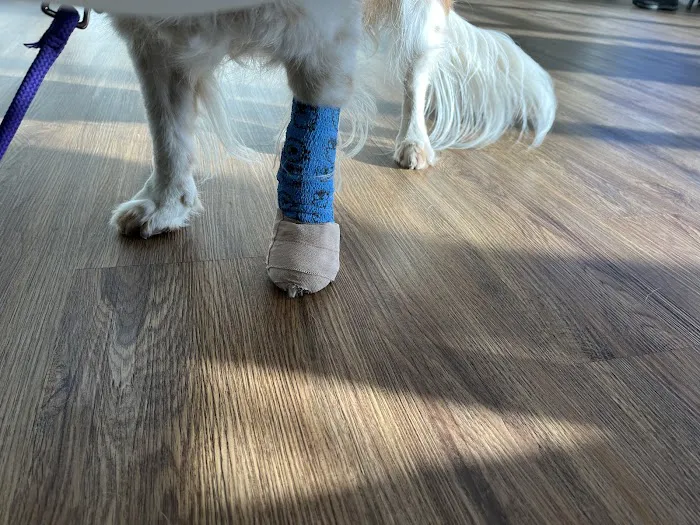 My Pet's Veterinary Urgent Care and Wellness Picture 2