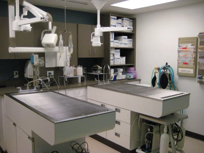 VCA Rose Hill Animal Hospital Picture 6