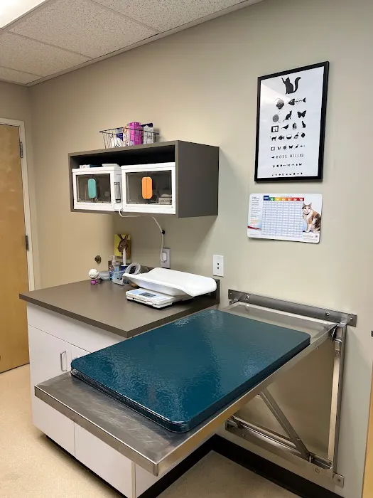 VCA Rose Hill Animal Hospital Picture 2