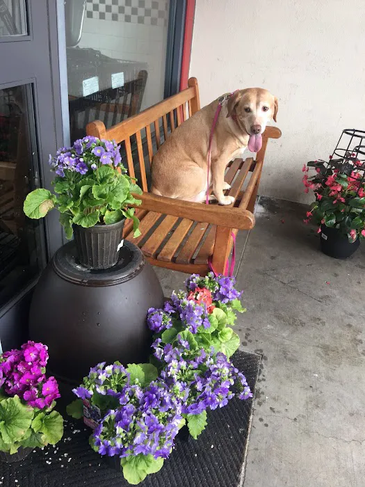 VCA Bellevue Veterinary Hospital Picture 10