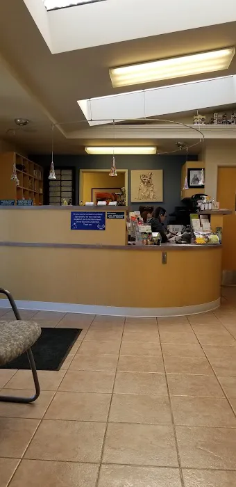 Northwest Animal Eye Specialists Picture 6