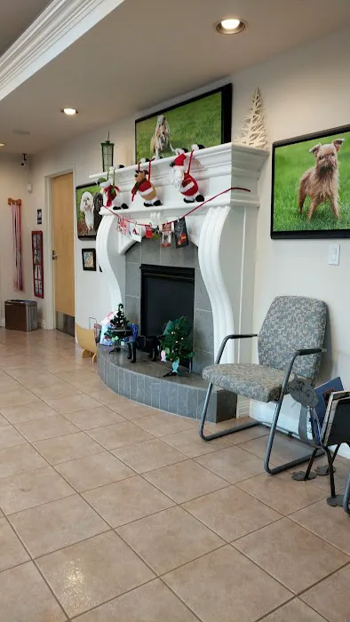 Northwest Animal Eye Specialists Picture 8