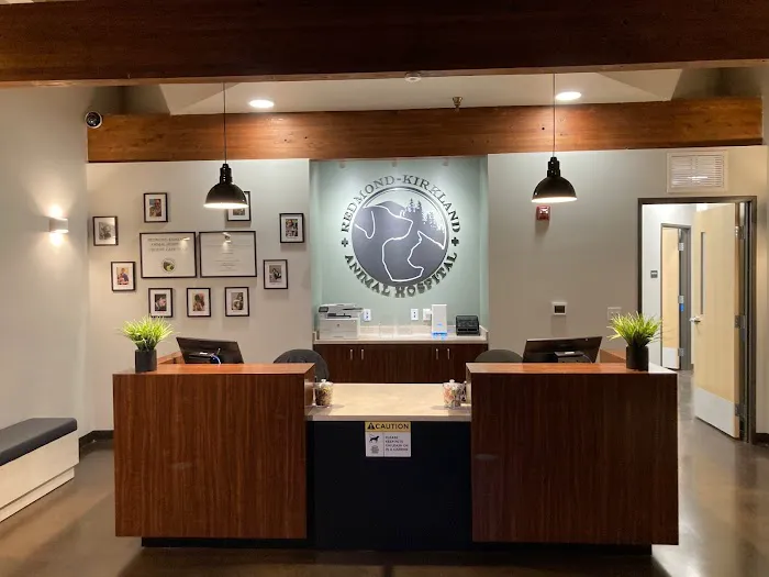Redmond-Kirkland Animal Hospital, A Thrive Pet Healthcare Partner Picture 5