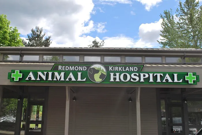Redmond-Kirkland Animal Hospital, A Thrive Pet Healthcare Partner Picture 8