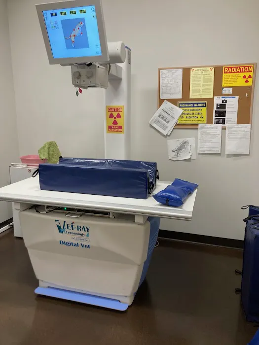 Redmond-Kirkland Animal Hospital, A Thrive Pet Healthcare Partner Picture 7