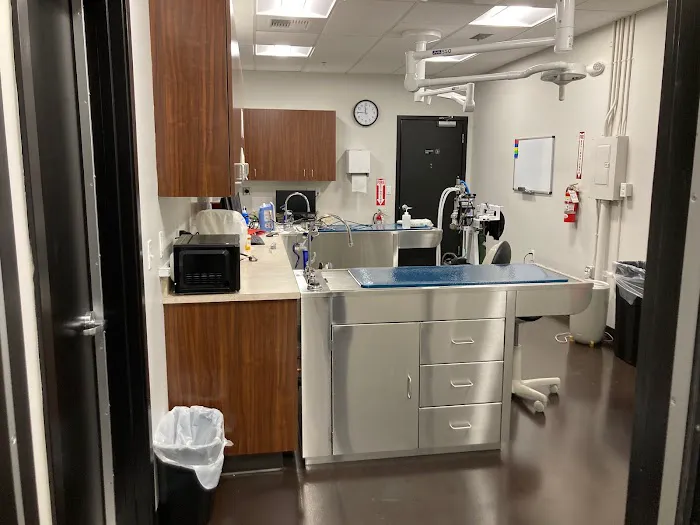 Redmond-Kirkland Animal Hospital, A Thrive Pet Healthcare Partner Picture 6