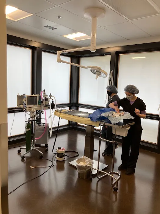 Redmond-Kirkland Animal Hospital, A Thrive Pet Healthcare Partner Picture 1