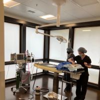 Redmond-Kirkland Animal Hospital, A Thrive Pet Healthcare Partner ico