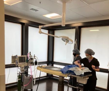 Redmond-Kirkland Animal Hospital, A Thrive Pet Healthcare Partner