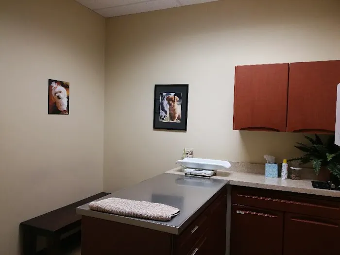Redmond-Kirkland Animal Hospital, A Thrive Pet Healthcare Partner Picture 4