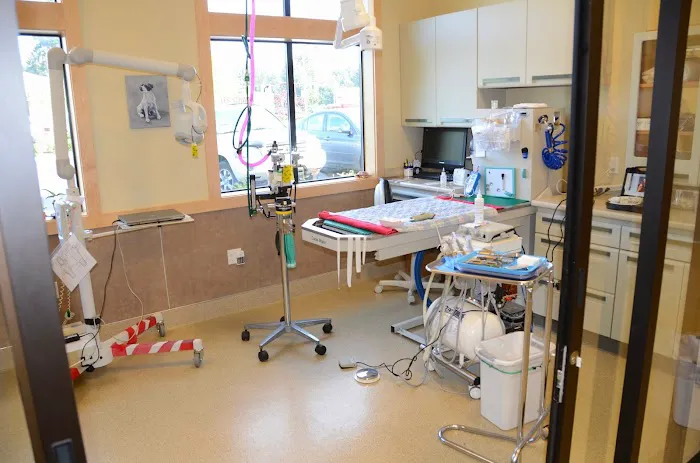 Brookfield Veterinary Hospital Picture 4