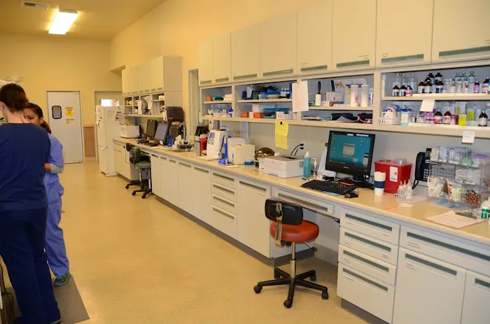 Brookfield Veterinary Hospital Picture 8