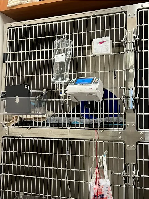 Veterinary Emergency Group Picture 8