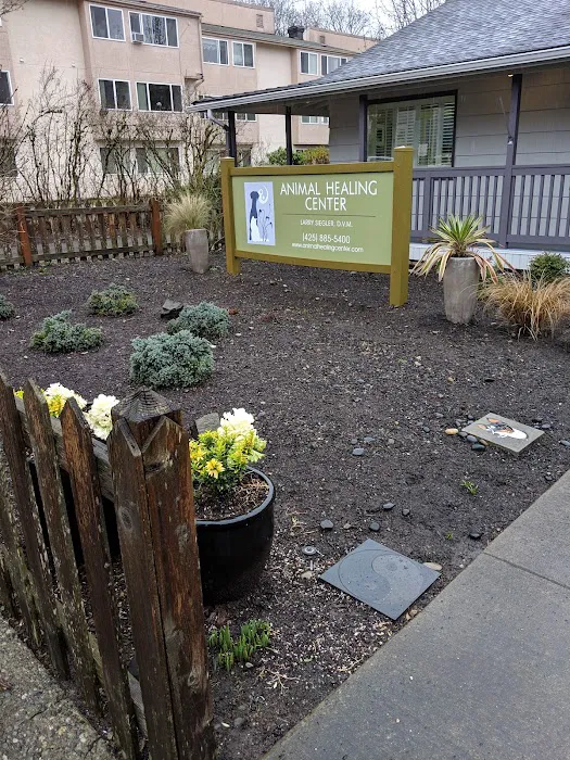 Animal Healing Center Picture 5