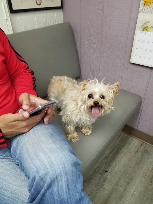 Animal Healing Center Picture 7