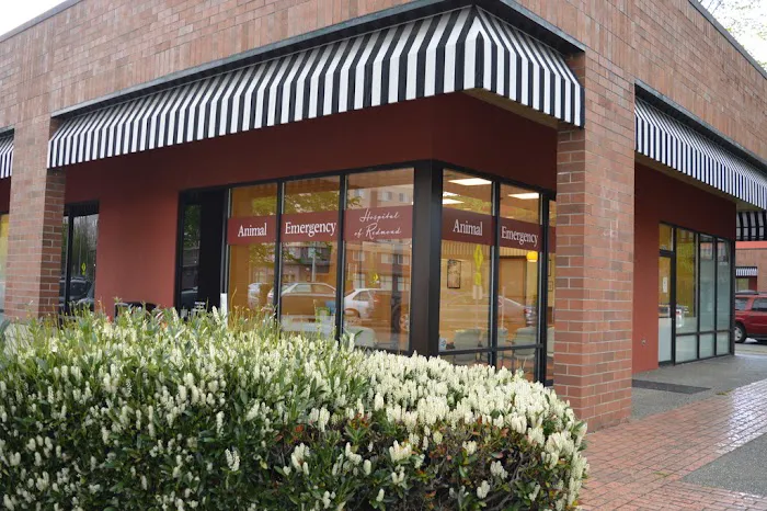 Animal Emergency Hospital of Redmond Picture 4