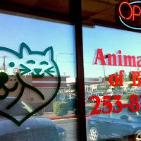 Animal Clinic Of Benson ico