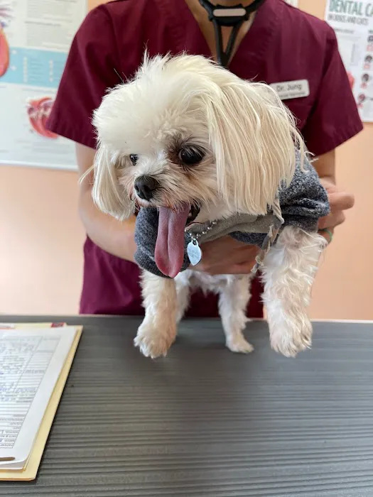 Animal Clinic Of Benson Picture 9