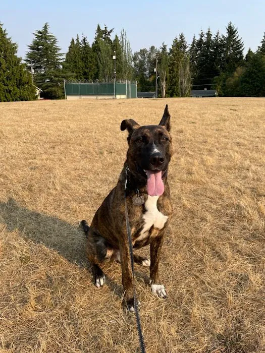 Clover Veterinary Hospital Picture 4