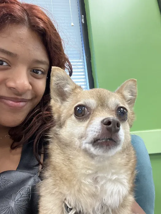 Clover Veterinary Hospital Picture 8