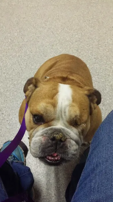 Clover Veterinary Hospital Picture 3
