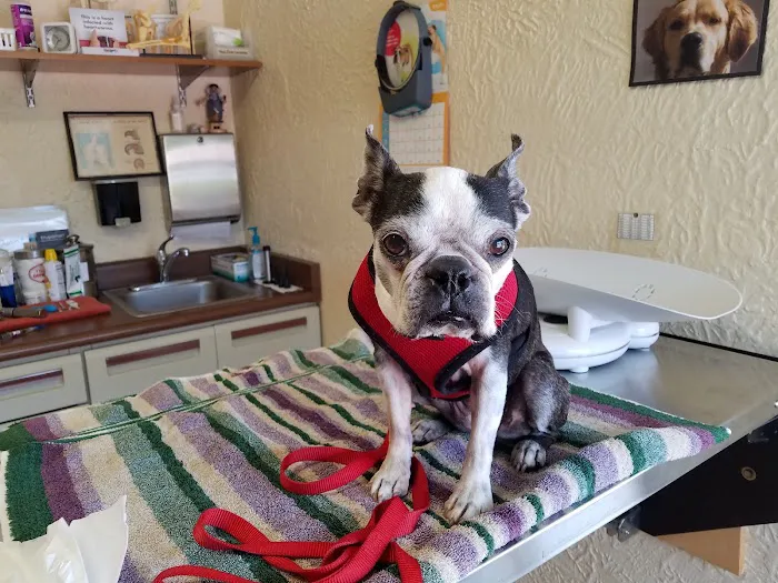 McMonigle Veterinary Hospital Picture 8