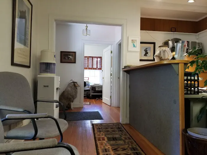 Cougar Mountain Veterinary Hospital & Wellness Center Picture 4