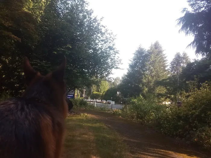 Cougar Mountain Veterinary Hospital & Wellness Center Picture 10