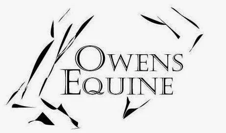 Owens Equine Picture 1