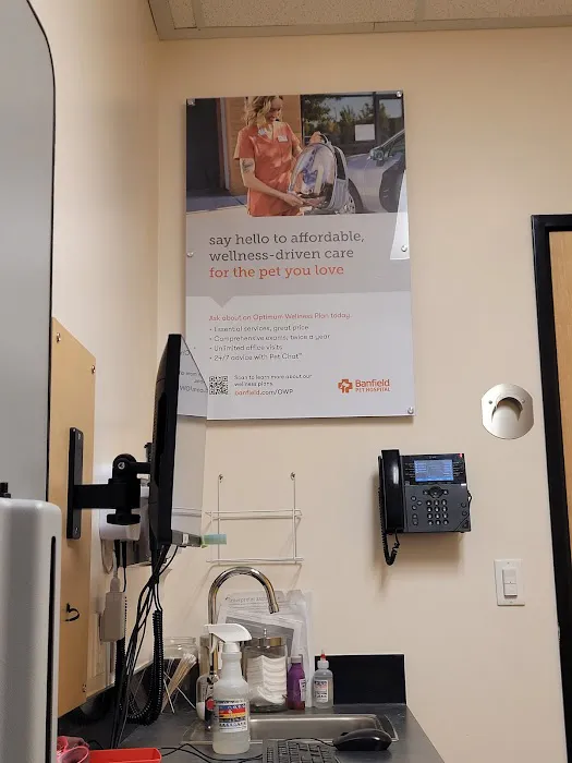 Banfield Pet Hospital Picture 9