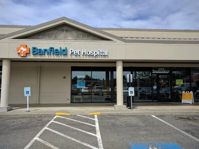Banfield Pet Hospital Picture 4