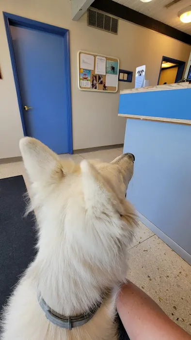 Crestwood Animal Hospital Picture 8