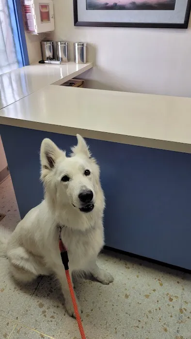 Crestwood Animal Hospital Picture 6