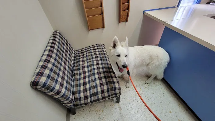 Crestwood Animal Hospital Picture 7