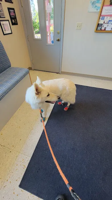 Crestwood Animal Hospital Picture 9