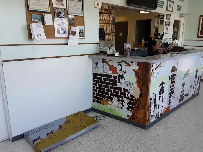 Los Alamitos Animal Hospital Picture 2