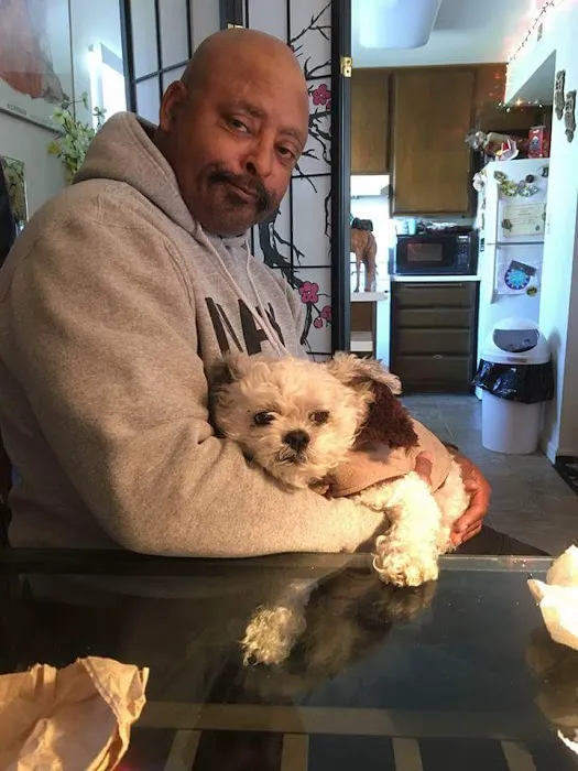Los Alamitos Animal Hospital Picture 6